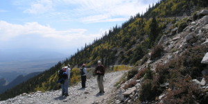 Mt Princeton Road