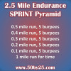 Orangetheory Workout: 2.5 Mile Endurance Sprint Pyramid