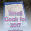 2017 Monthly Goal Check In: January