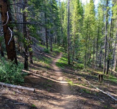 Camp_Hale_Half_Single_Track_Trail