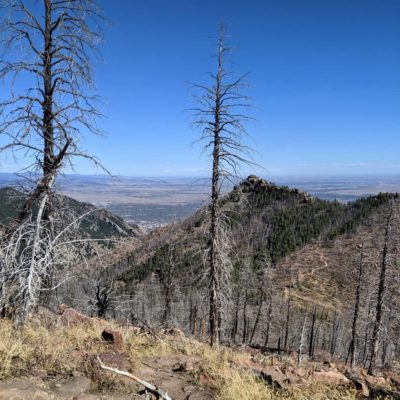 Bear_Peak_From_South_Boulder_Peak