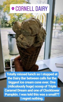Cornell_Dairy_Bar_Giant_Cone