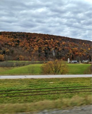 Upstate_New_York_Fall_Foliage