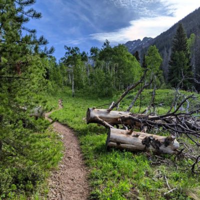 Pitkin_Lake_Trail_Fallen_Trees