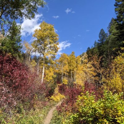 Fall_Foliage_Game_Creek_Trail