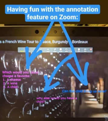 Zoom_Annotation