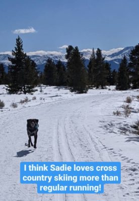 Sadie_Loves_Skiing (1)